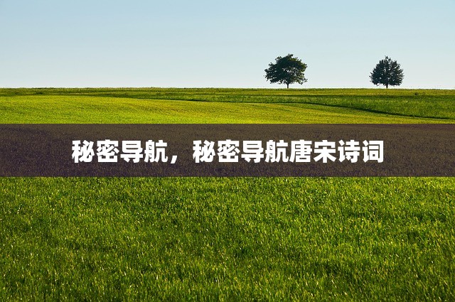秘密导航，秘密导航唐宋诗词