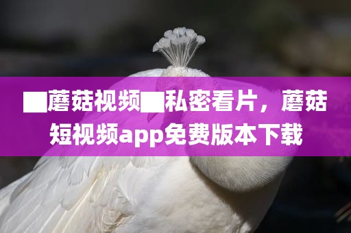 ▇蘑菇视频▇私密看片，蘑菇短视频app免费版本下载