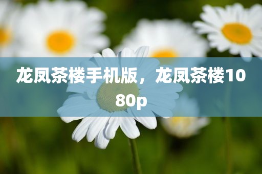 龙凤茶楼手机版，龙凤茶楼1080p