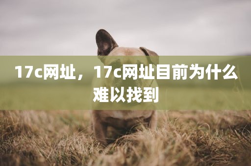 17c网址，17c网址目前为什么难以找到