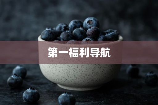 第一福利导航