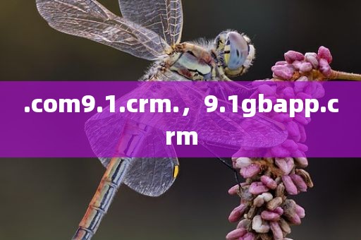 .com9.1.crm.，9.1gbapp.crm