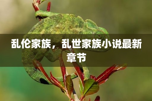 乱伦家族，乱世家族小说最新章节