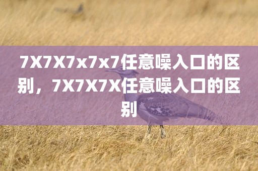 7X7X7x7x7任意噪入口的区别，7X7X7X任意噪入口的区别