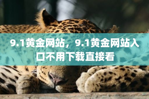 9.1黄金网站，9.1黄金网站入口不用下载直接看