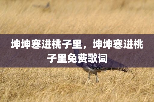 坤坤寒进桃子里，坤坤寒进桃子里免费歌词