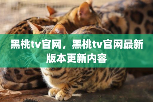 黑桃tv官网，黑桃tv官网最新版本更新内容