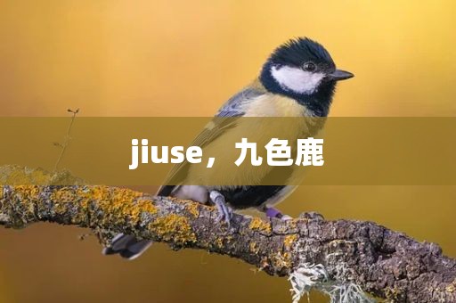 jiuse，九色鹿