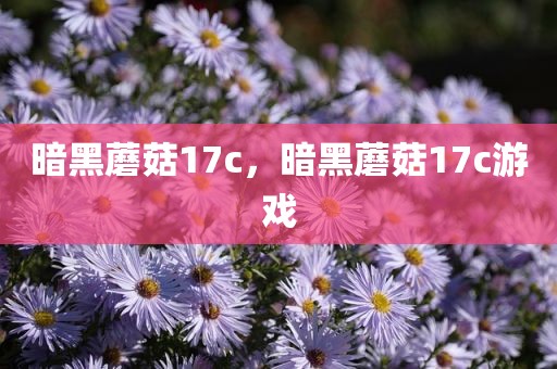 暗黑蘑菇17c，暗黑蘑菇17c游戏
