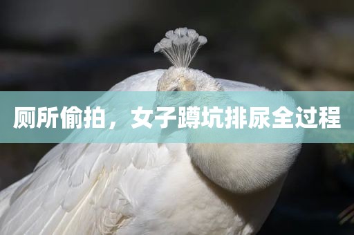 厕所偷拍，女子蹲坑排尿全过程