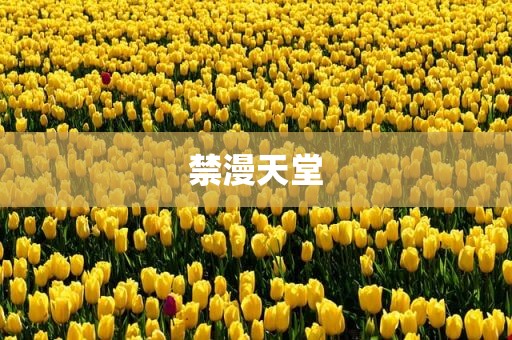 禁漫天堂