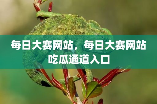 每日大赛网站，每日大赛网站吃瓜通道入口