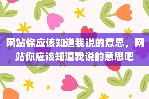 网站你应该知道我说的意思，网站你应该知道我说的意思吧