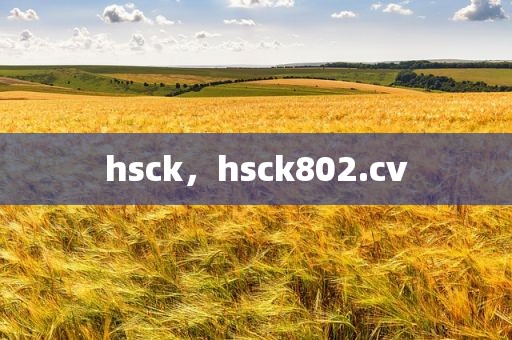 hsck，hsck802.cv