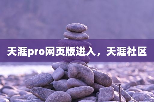 天涯pro网页版进入，天涯社区