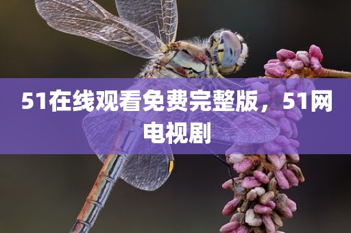 51在线观看免费完整版，51网电视剧