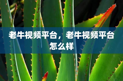 老牛视频平台，老牛视频平台怎么样