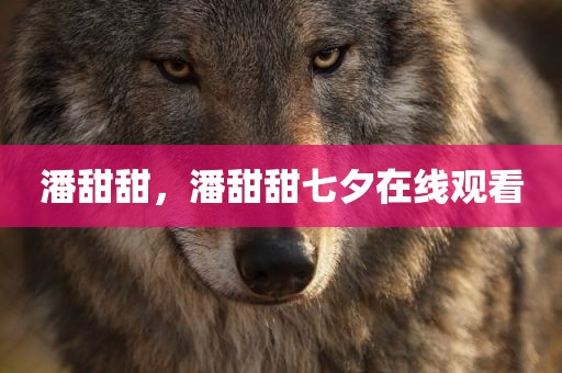 潘甜甜，潘甜甜七夕在线观看