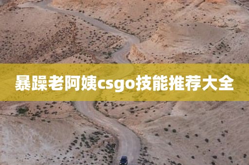 暴躁老阿姨csgo技能推荐大全