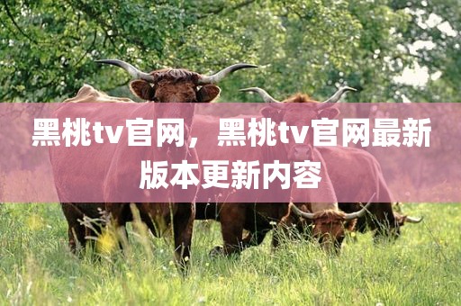 黑桃tv官网，黑桃tv官网最新版本更新内容