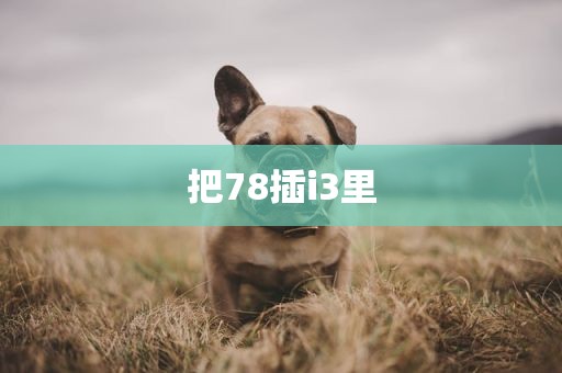 把78插i3里