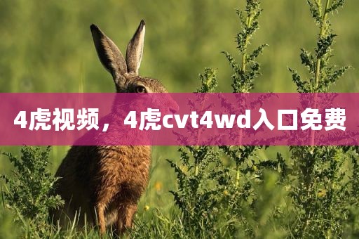 4虎视频，4虎cvt4wd入口免费