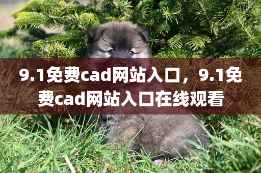 9.1免费cad网站入口，9.1免费cad网站入口在线观看