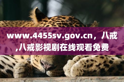 www.4455sv.gov.cn，八戒,八戒影视剧在线观看免费