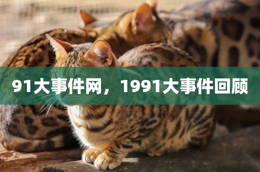 91大事件网，1991大事件回顾