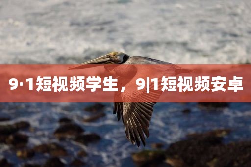 9·1短视频学生，9|1短视频安卓