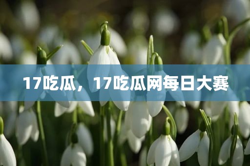 17吃瓜，17吃瓜网每日大赛