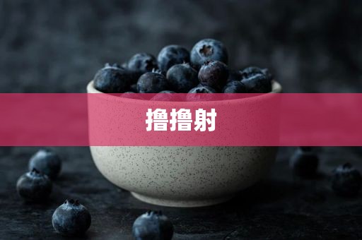 撸撸射