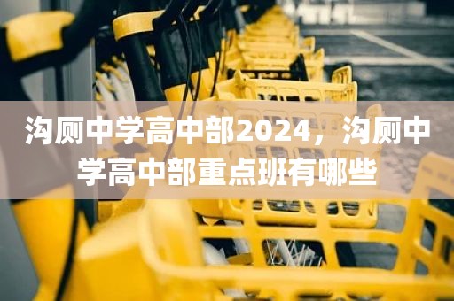 沟厕中学高中部2024，沟厕中学高中部重点班有哪些