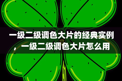 一级二级调色大片的经典实例，一级二级调色大片怎么用