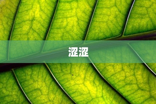 涩涩