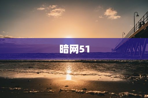 暗网51