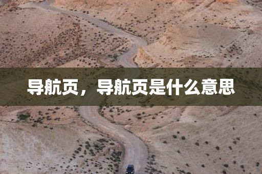 导航页，导航页是什么意思