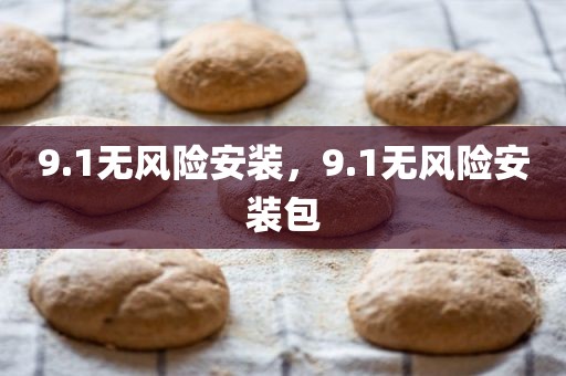 9.1无风险安装，9.1无风险安装包