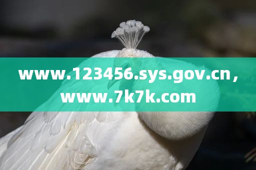 www.123456.sys.gov.cn，www.7k7k.com