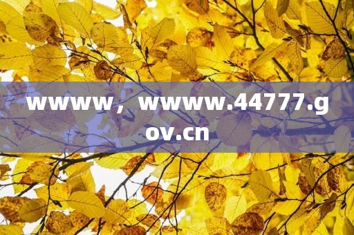 wwww，wwww.44777.gov.cn