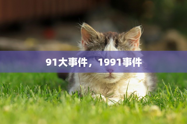 91大事件，1991事件