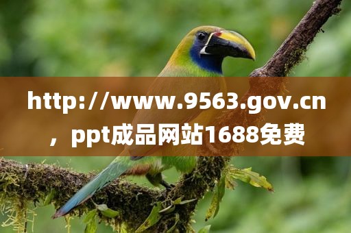 http://www.9563.gov.cn，ppt成品网站1688免费