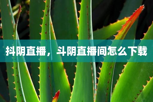 抖阴直播，斗阴直播间怎么下载