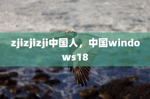 zjizjizji中国人，中国windows18