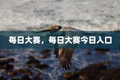 每日大赛，每日大赛今日入口