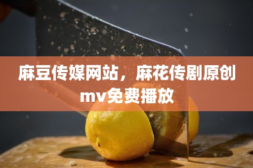 麻豆传媒网站，麻花传剧原创mv免费播放