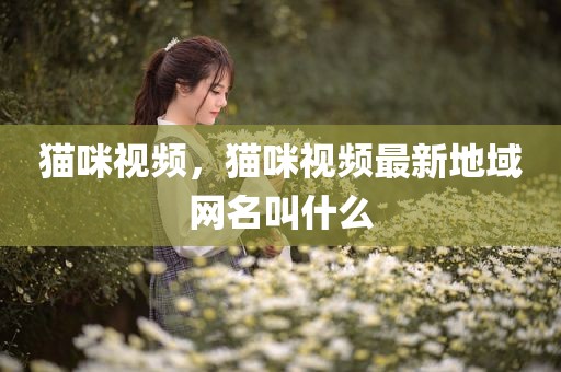 猫咪视频，猫咪视频最新地域网名叫什么