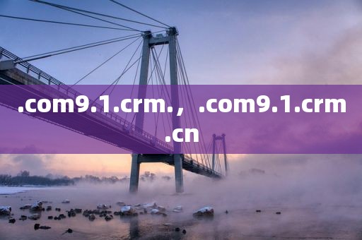 .com9.1.crm.，.com9.1.crm.cn