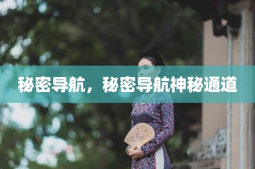 秘密导航，秘密导航神秘通道