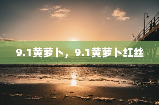 9.1黄萝卜，9.1黄萝卜红丝